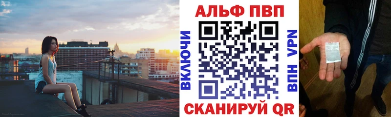 А ПВП СК Новая Ладога