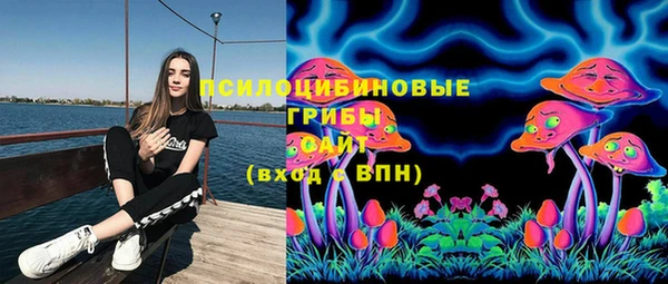 мет Алексин