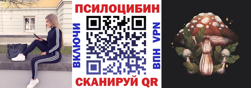Псилоцибиновые грибы Psilocybe  Новая Ладога 